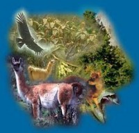 /album/fotogaleria/images-28-jpg/